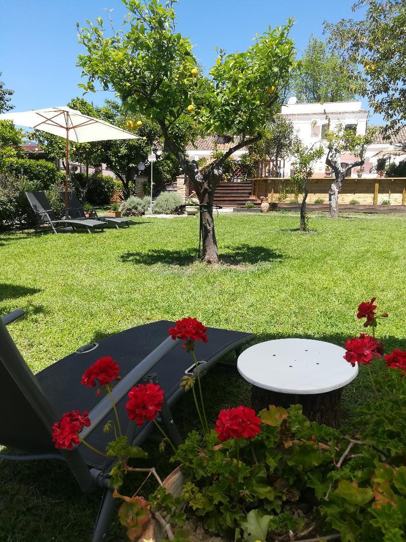 Hotel Terrenia 3*